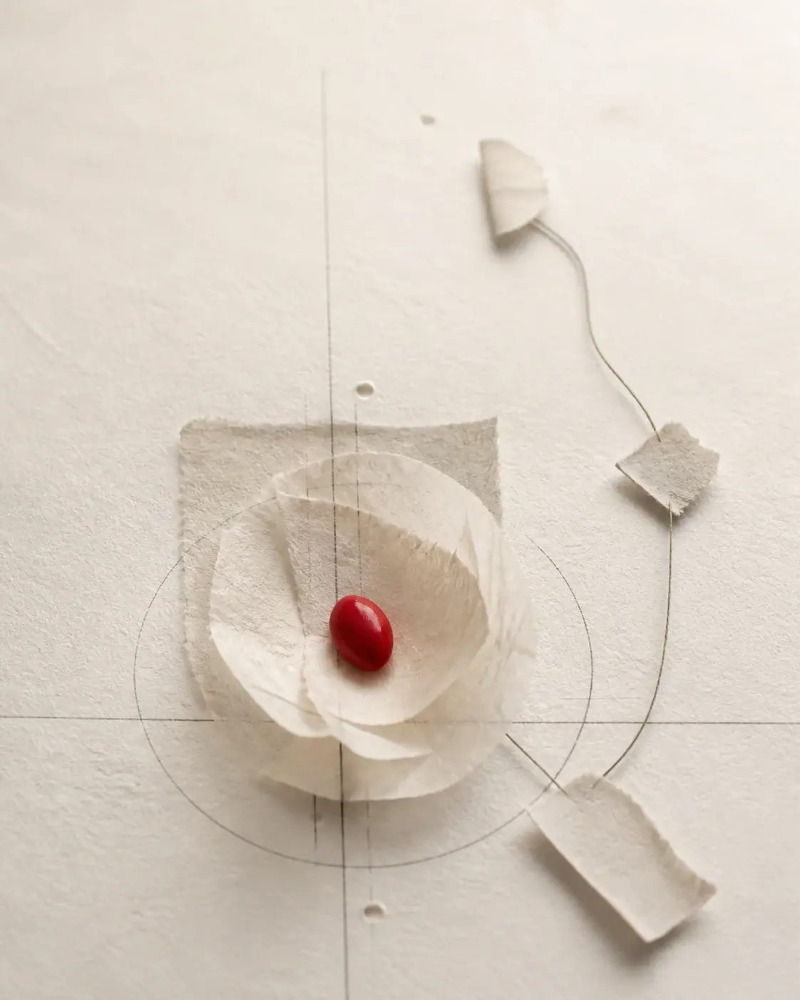 Composición editorial de papel, líneas y una semilla roja para representar el ADN de marca